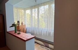 Apartament 3 camere Dambu Pietros