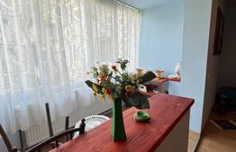 Apartament 3 camere Dambu Pietros