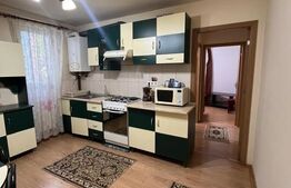 Apartament 3 camere Dambu Pietros