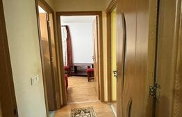 Apartament 3 camere Dambu Pietros