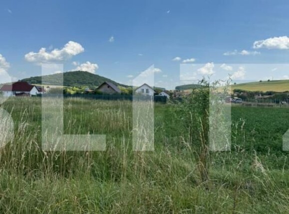 Teren de vânzare Sângeorgiu de Mureș - 153558TV | BLITZ Târgu Mureș | Poza1