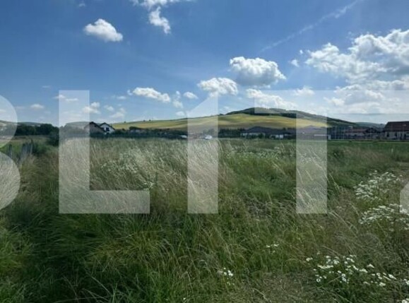 Teren de vânzare Sângeorgiu de Mureș - 153558TV | BLITZ Târgu Mureș | Poza2