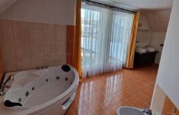 Corunca, casa 280 mp, teren 16 ari, cu picina exterioara