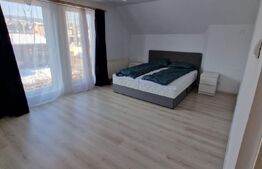 Corunca, casa 280 mp, teren 16 ari, cu picina exterioara