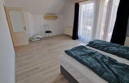 Corunca, casa 280 mp, teren 16 ari, cu picina exterioara