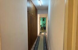 Apartament 3 camere, etaj intermediar, Dambu