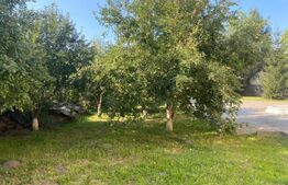 Casa 7 camere, 390 mp utili, Valea Iubirii