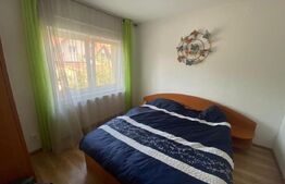 Casa 7 camere, 390 mp utili, Valea Iubirii