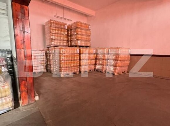 Spațiu industrial de închiriat Depozite - 154957SII | BLITZ Târgu Mureș | Poza1