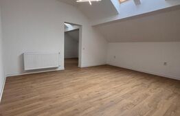 Apartament 120 MP, penthouse, 3 camere, zona Budiului