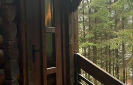 Cabana splendida, 100 mp, zona Lunca Bradului