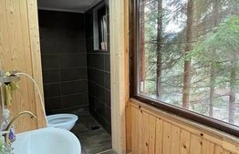 Cabana splendida, 100 mp, zona Lunca Bradului