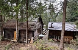 Cabana splendida, 100 mp, zona Lunca Bradului