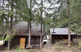 Cabana splendida, 100 mp, zona Lunca Bradului