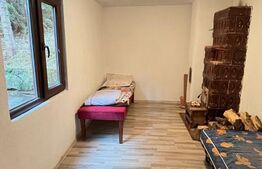 Cabana splendida, 100 mp, zona Lunca Bradului