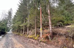 Cabana splendida, 100 mp, zona Lunca Bradului