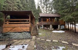 Cabana splendida, 100 mp, zona Lunca Bradului