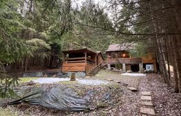 Cabana splendida, 100 mp, zona Lunca Bradului