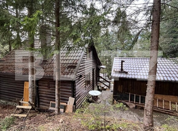 Casa de vânzare 3 camere Nord-Vest - 155352CV | BLITZ Târgu Mureș | Poza8