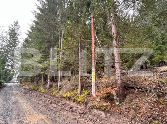 Casa de vânzare 3 camere Nord-Vest - 155352CV | BLITZ Târgu Mureș | Poza11