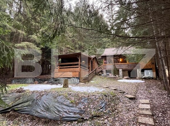 Casa de vânzare 3 camere Nord-Vest - 155352CV | BLITZ Târgu Mureș | Poza10