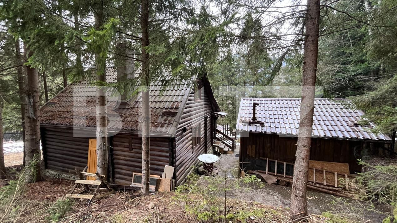 Casa de vânzare 3 camere Nord-Vest - 155352CV | BLITZ Târgu Mureș | Poza8