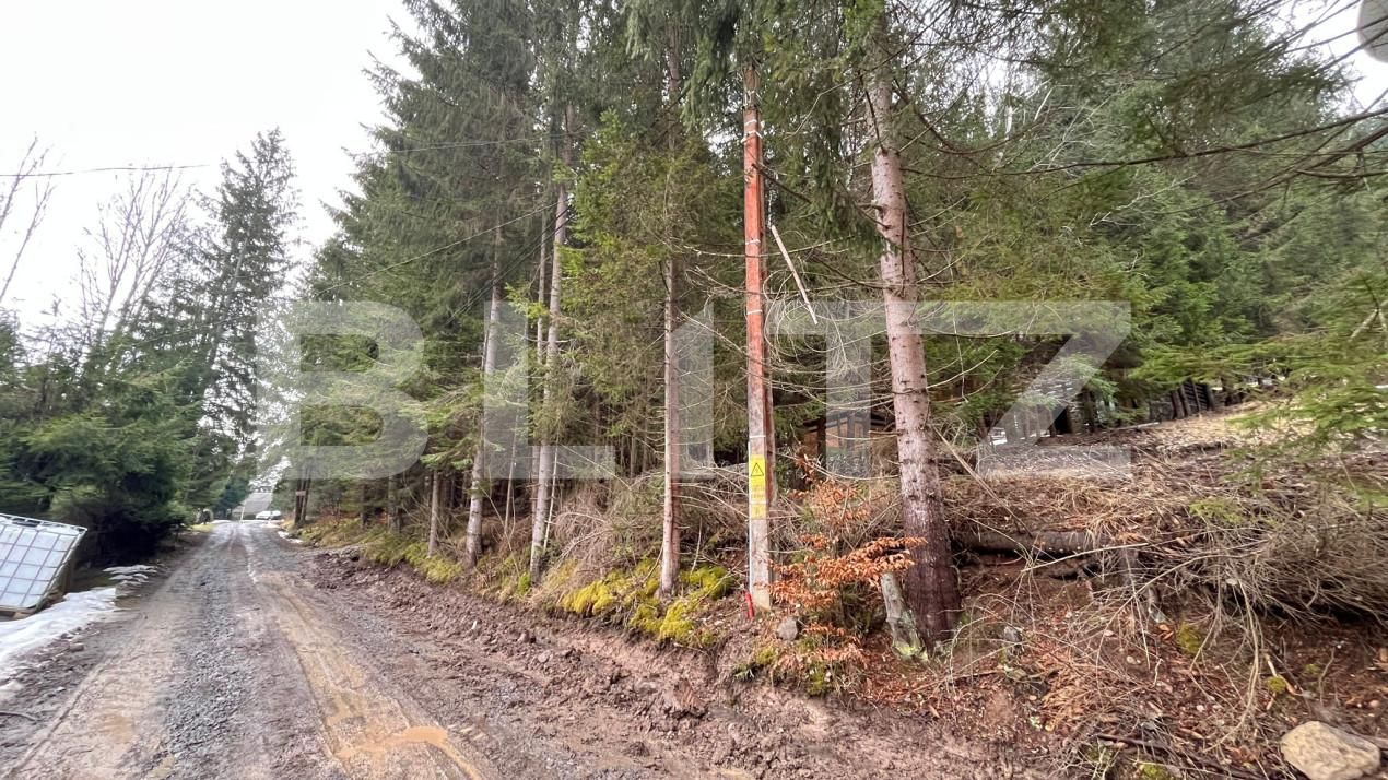 Casa de vânzare 3 camere Nord-Vest - 155352CV | BLITZ Târgu Mureș | Poza11