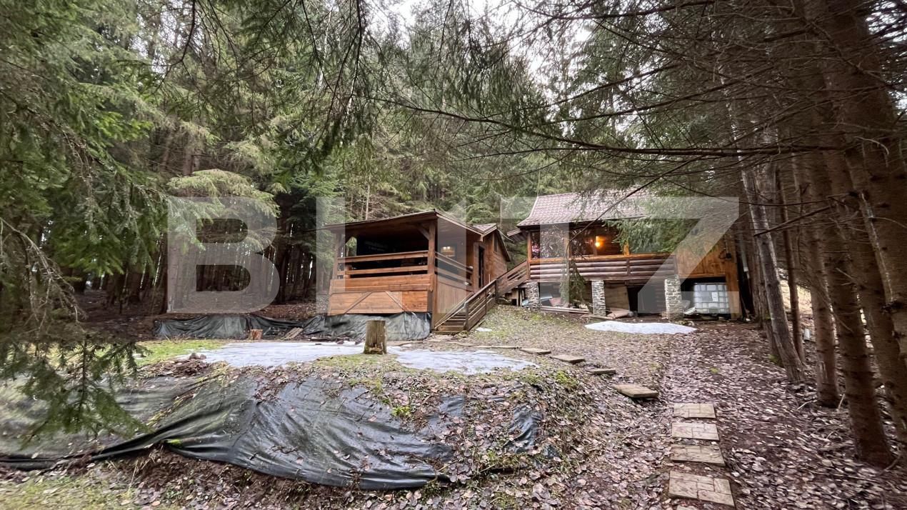 Casa de vânzare 3 camere Nord-Vest - 155352CV | BLITZ Târgu Mureș | Poza10