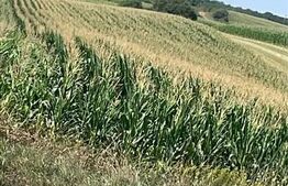 Teren in Acatari la E60 - 1,73 hectare