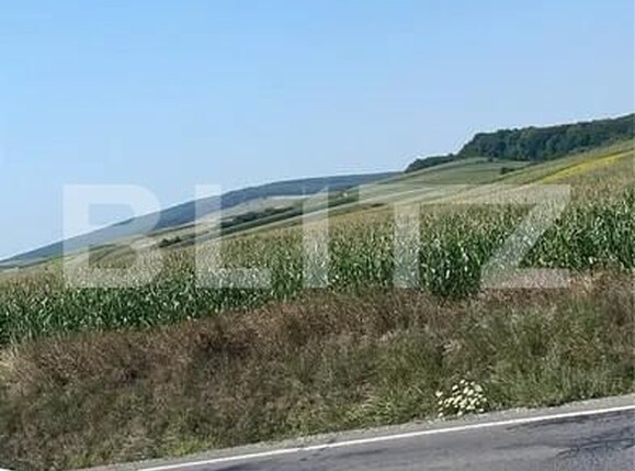 Teren de vânzare Periferie - 155381TV | BLITZ Târgu Mureș | Poza1