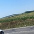 Teren de vânzare Acățari - 155381TV - Poza 1 din 2 | BLITZ Târgu Mureș | Poza2