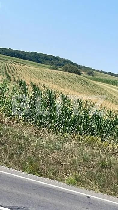 Teren de vânzare Periferie - 155381TV | BLITZ Târgu Mureș | Poza2