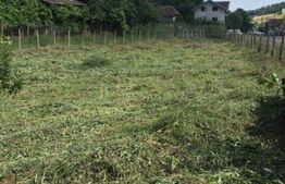 Teren de vanzare in Remetea, 935 mp ,intravilan