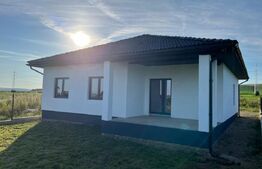 Casa cu 3 camere , 110 mp , localitatea Nazna 