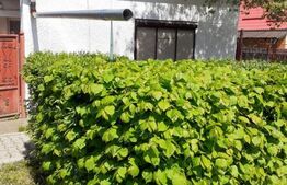 CASA DE VANZARE 3 CAERE 14 ARI TEREN SANTANA DE MURES