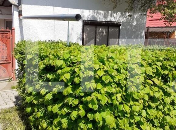 Casa de vânzare 3 camere Sântana de Mureș - 156042CV | BLITZ Târgu Mureș | Poza1