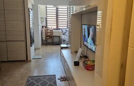 Apartament de vanzare cu 1 camera