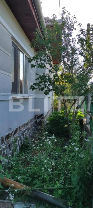 Casa de vânzare 2 camere Exterior Sud - 156161CV | BLITZ Târgu Mureș | Poza4