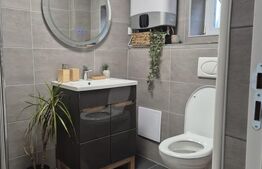 Doua case, Unirii, curti separate