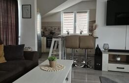 Doua case, Unirii, curti separate