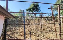 Vanzare casa cu 3 camere in Bardesti, 1600 mp teren