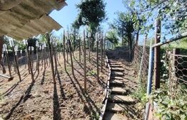 Vanzare casa cu 3 camere in Bardesti, 1600 mp teren