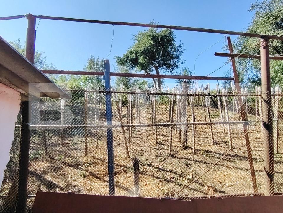 Casa de vânzare 3 camere Bardesti - 156396CV | BLITZ Târgu Mureș | Poza17