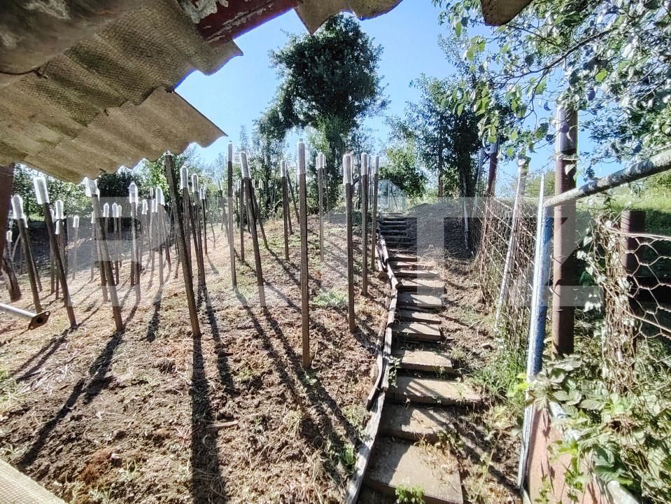 Casa de vânzare 3 camere Bardesti - 156396CV | BLITZ Târgu Mureș | Poza18