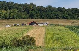 Teren agricol extravilan 60 ari Bardesti