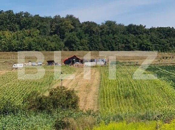 Teren de vânzare Sântana de Mureș - 156512TV | BLITZ Târgu Mureș | Poza1