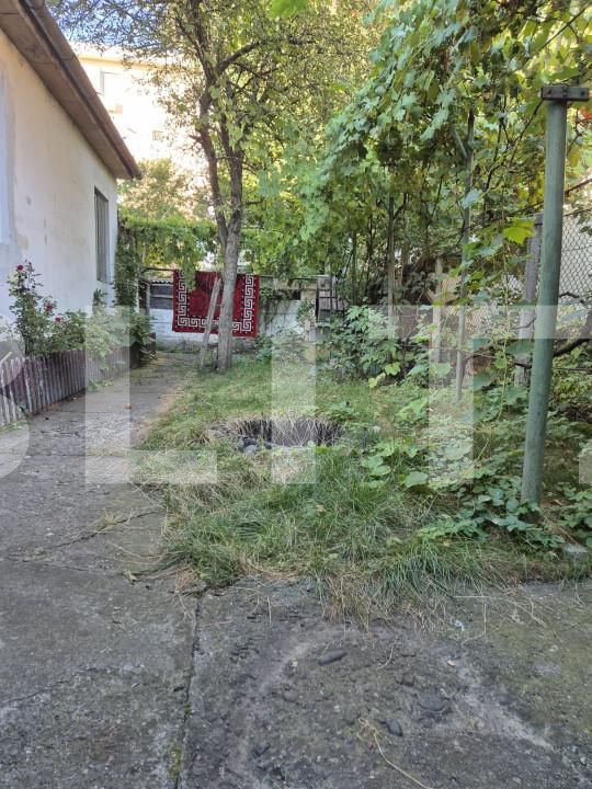 Casa de vânzare 4 camere Piata Armatei - 156688CV | BLITZ Târgu Mureș | Poza2