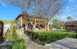 Casa 4 camere 120 mp, 10 ari teren, sat Raciu