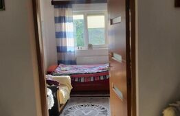 Casa 4 camere 120 mp, 10 ari teren, sat Raciu