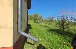 Casa 4 camere 120 mp, 10 ari teren, sat Raciu